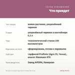 Бегония вечноцветущая Queen Double Pink (0,1л) — что приедет