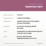 Бегония вечноцветущая Queen Double Pink (срез/3шт) — параметры сорта