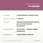 Бегония вечноцветущая Queen Double Pink (срез/3шт) — что приедет