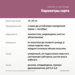 Бегония вечноцветущая Queen Double Pink (0,1л) — параметры сорта