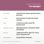 Бегония вечноцветущая Queen Double Pink (0,1л) — что приедет