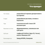 Бересклет Вьющийся Emerald Gaiety (0,1л) — что приедет