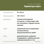 Бересклет Вьющийся Emerald Gaiety — параметры сорта
