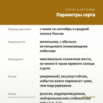 Биденс BIDY BOOM RED EYE (0,1л) — параметры сорта