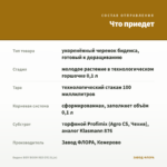 Биденс BIDY BOOM RED EYE (0,1л) — что приедет