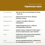 Биденс BIDY BOOM RED EYE (0,1л) — параметры сорта