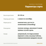 Биденс BIDY BOOM RED EYE (срез/5шт) — параметры сорта