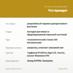БИДЕНС BLAZING STAR (0,1л) — что приедет