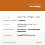 БИДЕНС BLAZING STAR (срез/5шт) — что приедет