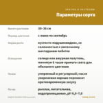 БИДЕНС BLAZING STAR (срез/5шт) — параметры сорта