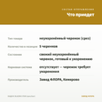 БИДЕНС BLAZING STAR (срез/5шт) — что приедет