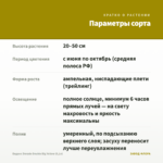 Биденс Dorado Double Big Yellow (0,1л) — параметры сорта
