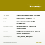 Биденс Dorado Double Big Yellow (0,1л) — что приедет