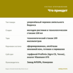 Биденс Dorado Double Big Yellow (0,1л) — что приедет