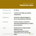 Биденс Dorado Red Yеlow (срезы/5шт) — параметры сорта