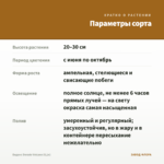 Биденс Dorado Volcano (0,1л) — параметры сорта