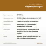 Биденс Dorado Volcano (срезы/5шт) — параметры сорта