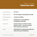 Биденс Dorado Volcano (срезы/5шт) — параметры сорта