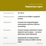 Биденс Eldoro Compact Yellow (0,1л) — параметры сорта