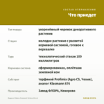 Биденс Eldoro Compact Yellow (0,1л) — что приедет