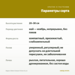 Биденс Eldoro Compact Yellow (0,1л) — параметры сорта