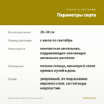 Биденс Eldoro Compact Yellow (срезы/5шт) — параметры сорта