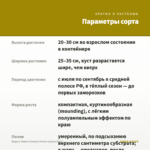 Биденс Eldoro Compact Yellow (срезы/5шт) — параметры сорта