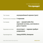 Биденс Eldoro Compact Yellow (срезы/5шт) — что приедет
