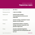 Биденс Pretty Deep Pink (0,1л) — параметры сорта