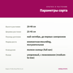 Биденс Pretty Deep Pink (0,1л) — параметры сорта