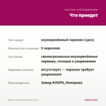 Биденс Pretty Deep Pink (срезы/5шт) — что приедет