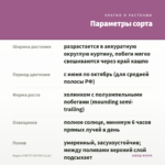 Биденс PRETTY IN PINK (0,1л) — параметры сорта