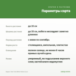 Биденс Taka Tuka White Yellow (0,1л) — параметры сорта
