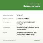 Биденс Taka Tuka White Yellow (0,1л) — параметры сорта
