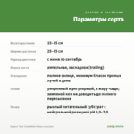 Биденс Taka Tuka White Yellow (срез/5шт) — параметры сорта