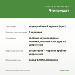Биденс Taka Tuka White Yellow (срез/5шт) — что приедет
