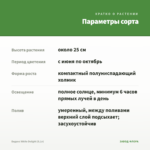 Биденс White Delight (0,1л) — параметры сорта