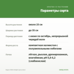Биденс White Delight (срезы/5шт) — параметры сорта