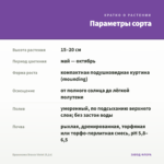 Брахикома Brasco Violet (0,1л) — параметры сорта
