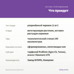 Брахикома Brasco Violet (0,1л) — что приедет