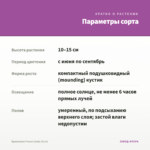 Брахикома Fresco Candy (0,1л) — параметры сорта