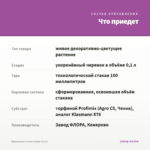 Брахикома Fresco Candy (0,1л) — что приедет