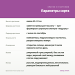 Брахикома Fresco Candy (0,1л) — параметры сорта
