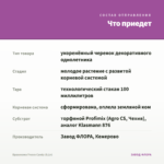 Брахикома Fresco Candy (0,1л) — что приедет