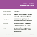 Брахикома Fresco Candy (срезы/5шт) — параметры сорта
