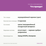 Брахикома Fresco Candy (срезы/5шт) — что приедет