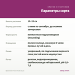 Брахикома Fresco Purple (0,1л) — параметры сорта