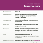Брахикома Fresco Purple (0,1л.) — параметры сорта