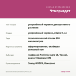 Брахикома Surdaisy Strawberry Pink (0,1л) — что приедет