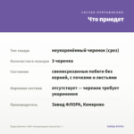 Будра Депплет Лайт плющевидная (срезы/3шт. ) — что приедет